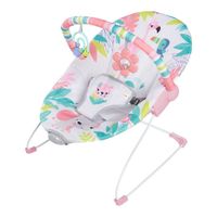 Silla Mecedora Bebé Bright Starts Flamingo Vibes