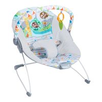 Silla Mecedora Bebé Bright Starts Safari Fun