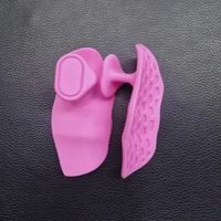 Guantes para Gimnasio - Unisex - Valuma