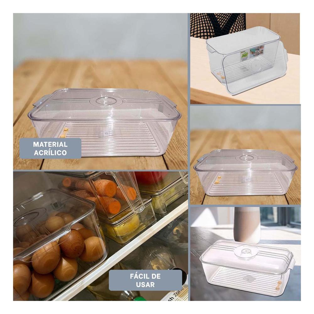 Contenedor Multiuso con Asas Pequeñas 30x15x15cm Transparente Y Ligas Regalo