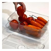 Bandeja de Acrilico Rectangular con Tapa Recta y Desague 30x16x5cm Transparente
