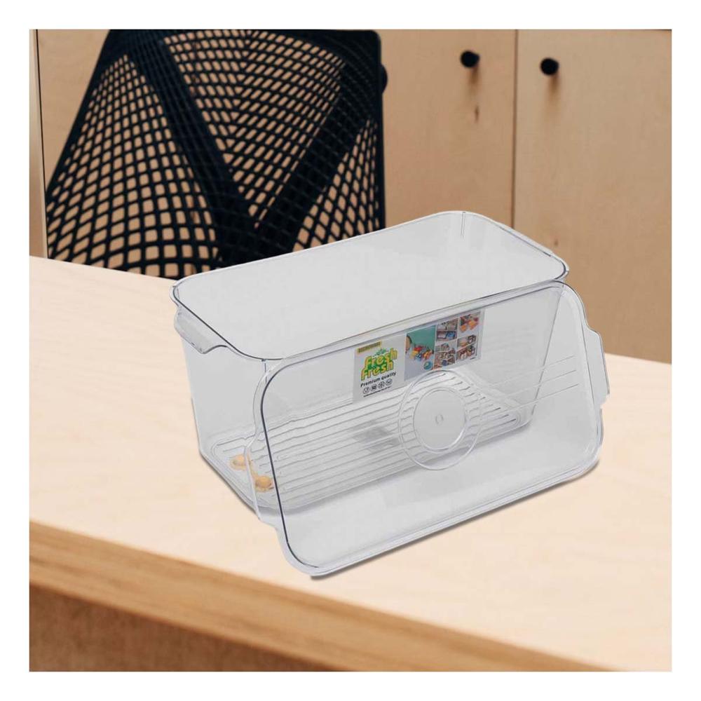 Contenedor Rectangular con Drenaje 30x15x15cm Transparente Y Papel Regalo