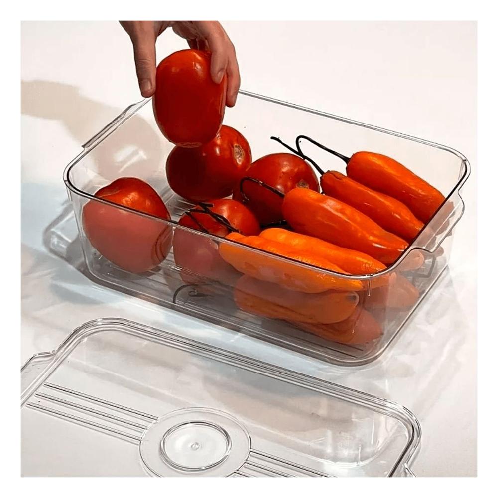 Charola de Acrilico Rectangular con Tapa Ovalada y Desague 30x16x11cm Transparente