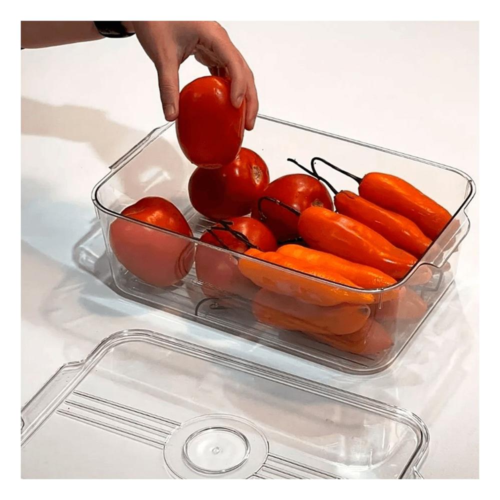 Bandeja acrilico rectangular 30x20x16cm transparente con tapa ovalada y asas pequenas