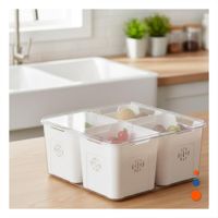 Contenedor con 4 Bandejas Escurridoras de Plastico Transparente y Espacio Organizado Y notas