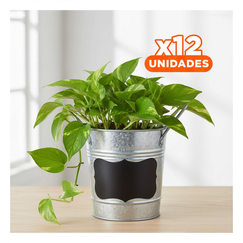Pack12 Base para Planta Cubo de Metal con Asa 10x8.5cm Plateado Diseño Firme Y Regalo Sticker