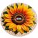 imageUrl_4