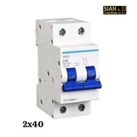 INTERRUPTOR TERMOMAGNETICO  2X40AMP 220V 415V MARCA CELUX