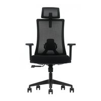 Silla de Oficina Evox Ergonómica Profesional Ultimate C16