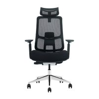Silla de Oficina Evox Ergonómica Profesional Ultimate C24