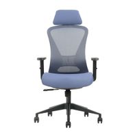 Silla de Oficina Evox ErgonómicaProfesional Ultimate C1