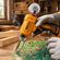 imageUrl_7