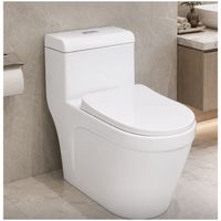 Inodoro One Piece de Loza Vitrificada con Doble Descarga 4L y 6L 7340