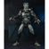 imageUrl_9