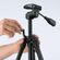 imageUrl_7