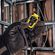imageUrl_7