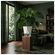 imageUrl_5