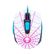 imageUrl_4