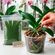 imageUrl_4