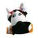 imageUrl_5
