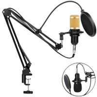 Kit Micrófono Condensador Profesional Brazo Soporte 2 DORADO - MOD  BM-800TZ