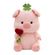 imageUrl_1