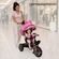 imageUrl_2