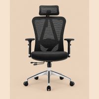 Silla Ergonómica Gerencial de Malla Gama Alta Ventitas Home