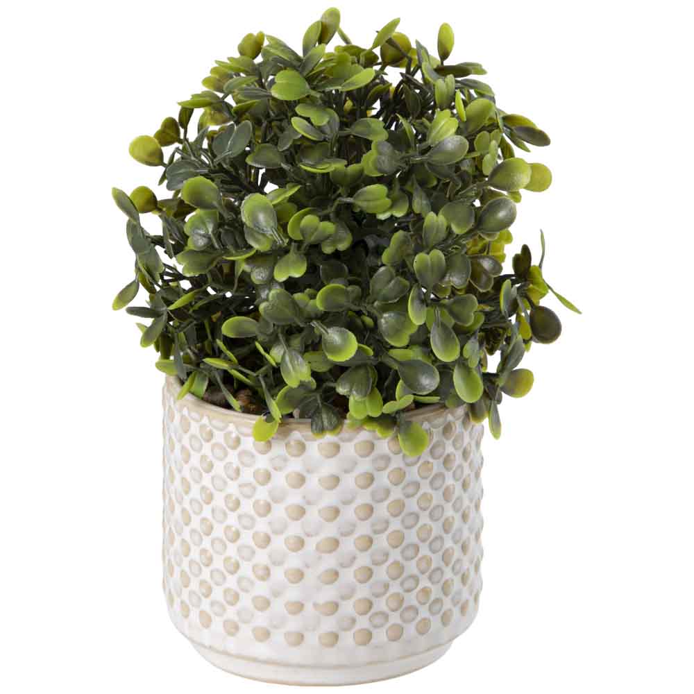 Mini Maceta DECO HOME Beige C/Planta Arena