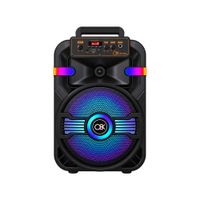 Parlante Portátil Karaoke Bluetooth de 10 pulg con Micrófono Luces LED y Control Remoto