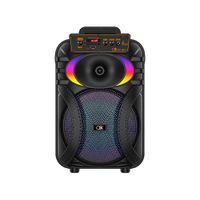 Parlante Portátil de 10 Pulgadas Bluetooth Recargable con Karaoke