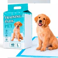 Pañales de Piso Absorbentes 60X60 - Talla L - Training Pads Pet Perros Mascotas