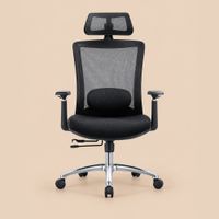 Silla Ejecutiva Ergonómico Dakota Negro Ventitas Home