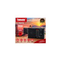 Radio Portátil Tomate TO-F18