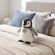 imageUrl_4