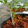 imageUrl_6