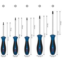 Juego Destornillador TX x 5pz