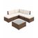 imageUrl_3