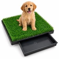 Baño con césped sintético reutilizable para perros