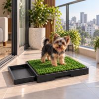 Baño Portátil Para Perros Pequeños | Baño Sanitario Para Departamento