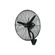 imageUrl_3