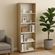 imageUrl_1