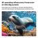 imageUrl_6