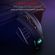 imageUrl_6