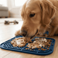 Plato Lick Mat Interactivo Antiestrés para Lamer con Doble Textura para Perros y Gatos - Azul