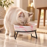 Comedero Elevado para Mascotas MarbleBowl Rosado con Base Metálica