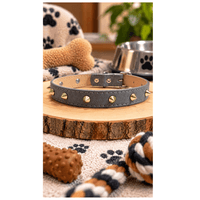 Collar Tipo Cuerina Con Púas Decorativas Para Perros - Gris