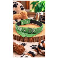 Collar Tipo Cuerina Con Bandana Para Perros - Verde