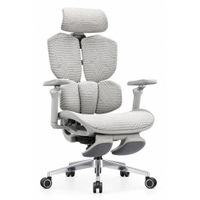 Silla Ergonómica Haven E7 Reclinable 140 Con Reposapiés Lumbar 3 Zonas