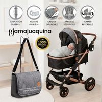 Coche Moisés Travel System IBERIA Edición Limitada Gray